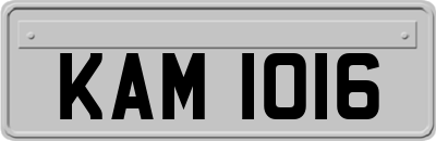 KAM1016