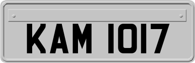 KAM1017