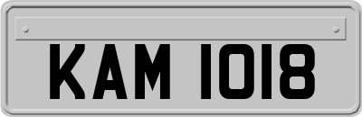 KAM1018