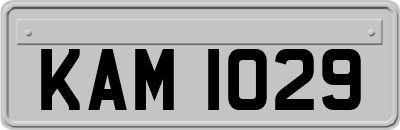 KAM1029