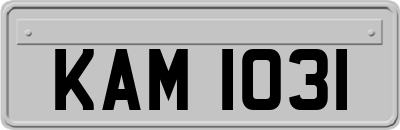 KAM1031