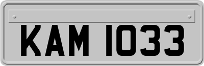 KAM1033