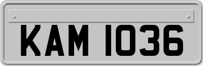 KAM1036
