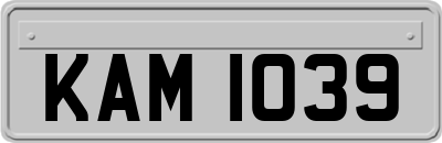 KAM1039