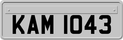 KAM1043
