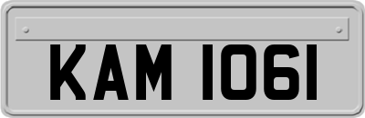 KAM1061