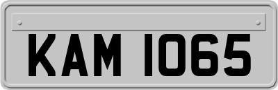 KAM1065