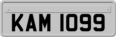 KAM1099