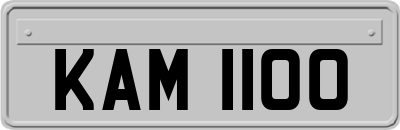 KAM1100