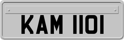 KAM1101