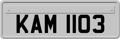 KAM1103
