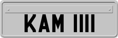 KAM1111