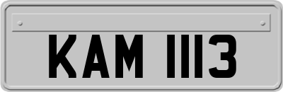 KAM1113