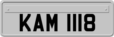 KAM1118