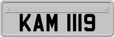 KAM1119
