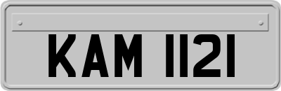 KAM1121