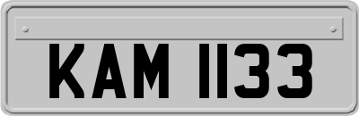 KAM1133