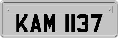 KAM1137