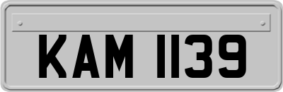 KAM1139