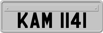 KAM1141