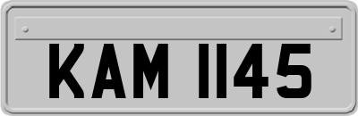 KAM1145
