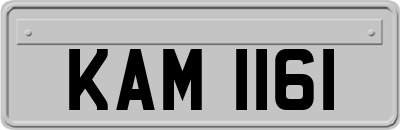 KAM1161