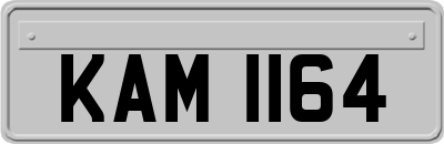 KAM1164