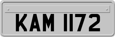 KAM1172