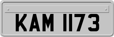 KAM1173