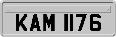 KAM1176