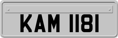 KAM1181