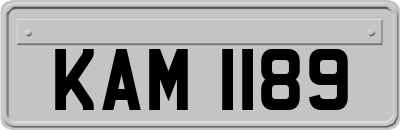 KAM1189