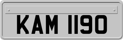 KAM1190