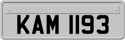 KAM1193