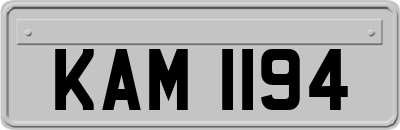 KAM1194