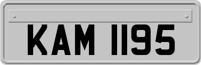 KAM1195