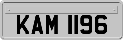 KAM1196