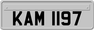 KAM1197