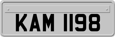 KAM1198