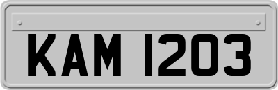 KAM1203