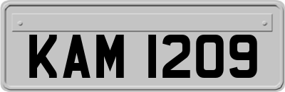 KAM1209