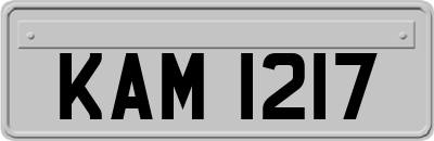 KAM1217