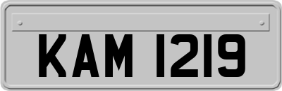 KAM1219