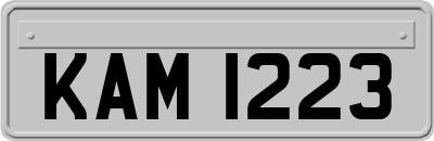 KAM1223