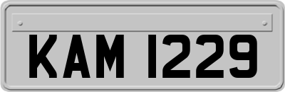 KAM1229