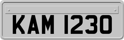KAM1230