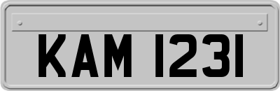 KAM1231