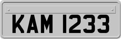 KAM1233