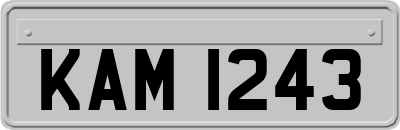 KAM1243