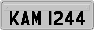 KAM1244